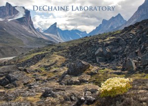 DeChaine Lab