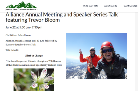 Screen Shot 2017-06-20 at 11.52.37 AM